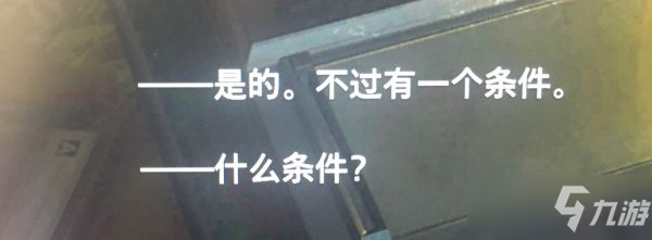 《生化危机8》BSAA文件档案资料攻略 隐藏线索分享_生化危机8