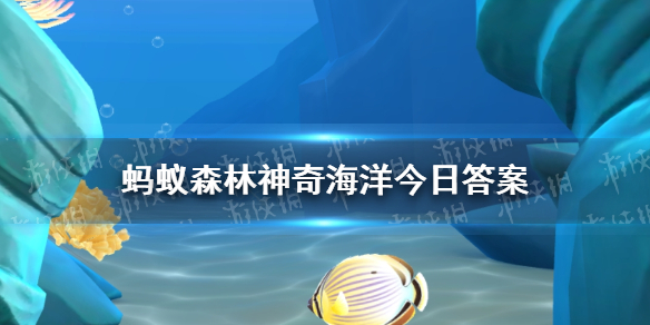 以下哪种海豚被称为水上大熊猫 支付宝神奇海洋9月20日最新答案