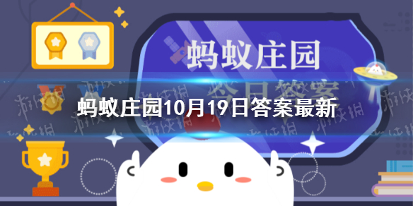 不小心被蜜蜂蜇伤，怎么处理更有效 蚂蚁庄园10月19日答案