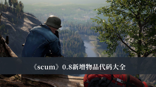 《scum》0.8新增物品代码大全