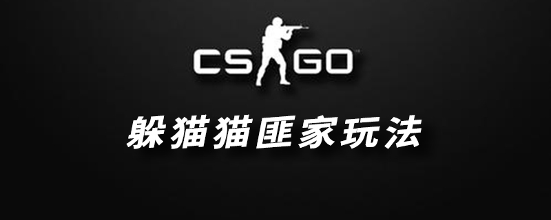 CSGO躲猫猫匪家玩法推荐