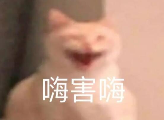 嗨嗨嗨梗的意思介绍