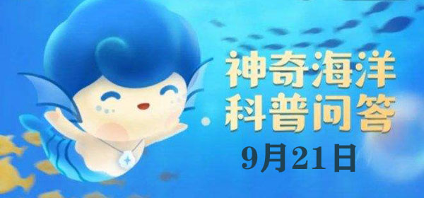 神奇海洋今日答案9.21：“领航鲸”之所以能领航，是因为它们能够