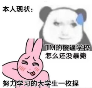 喜欢xx的小姐姐一枚呀梗含义介绍