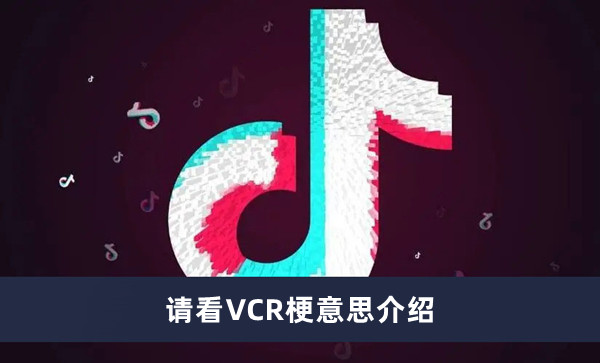 《抖音》请看VCR梗意思介绍