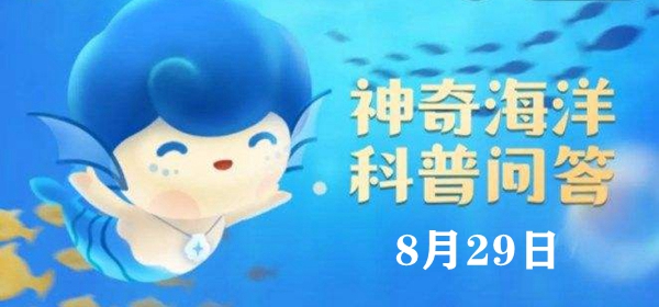 神奇海洋今日答案8.29：一般来说，墨鱼、花枝或墨斗鱼指的都是