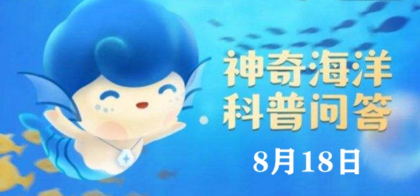 神奇海洋今日答案8.18：你知道吗水母靠什么来感知外部世界