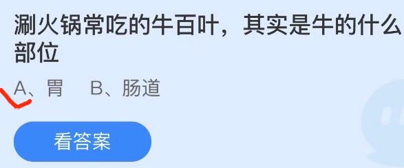 涮火锅常吃的牛百叶其实是牛的什么部位