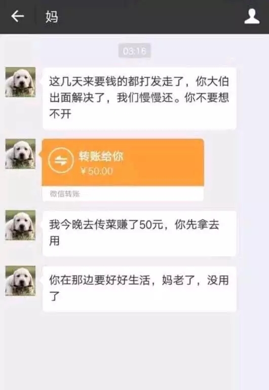 《贴吧》妈传菜是什么梗