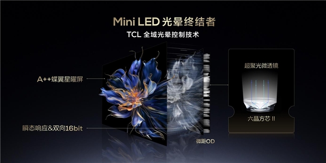 中日韩顶级Mini LED电视探索西沙秘境，谁赢了？